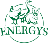 Logo energys